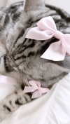 annaemiliaz Altpins Profile Picture