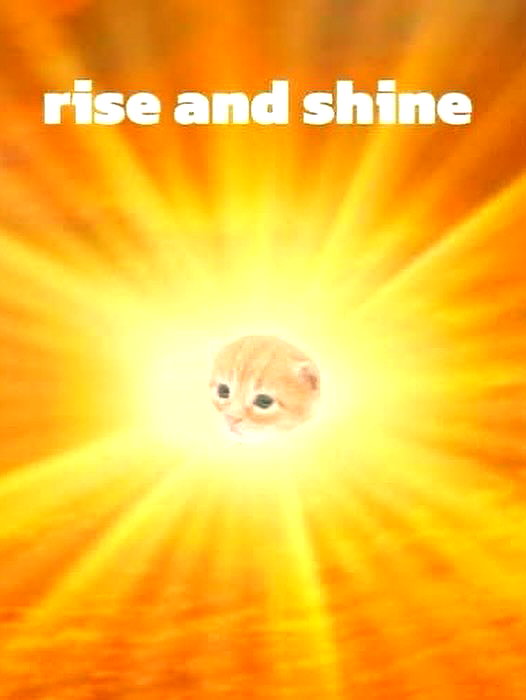 milkibunshehe instagram image archive image