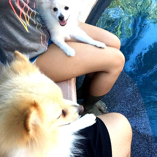 sssniperwolf instagram image archive image
