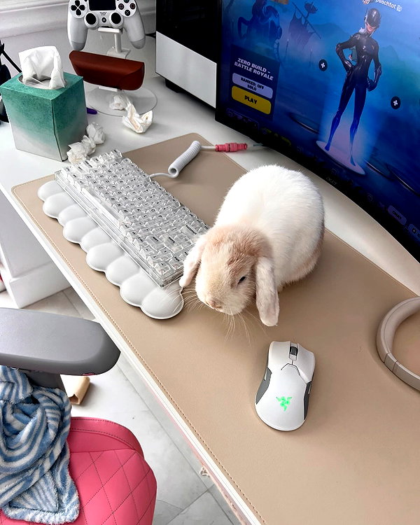 peachtoot.plz instagram image archive image