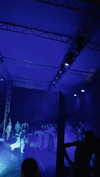 annabottoo Altpins Profile Picture