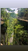 nikoleta.milenova Altpins Profile Picture