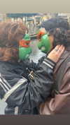 m1ry2m_ Altpins Profile Picture