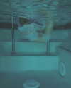 bentevviolet Altpins Profile Picture