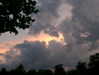 m1lkh8club Altpins Profile Picture