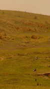 hadas_mayer_ Altpins Profile Picture