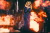 adele Altpins Profile Picture