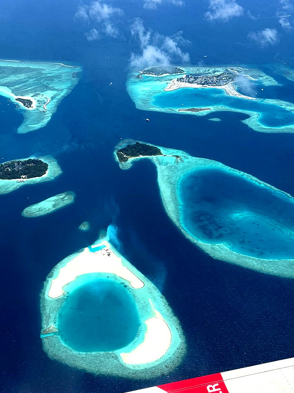 sabiyo instagram image archive image