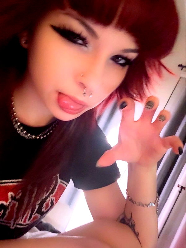 soupikitty archive image
