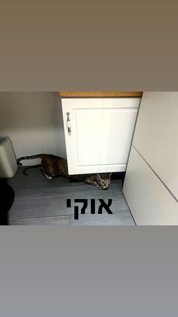 Archived image from @notchicore on Instagram