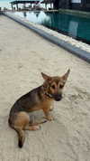 maya.keyy Altpins Profile Picture