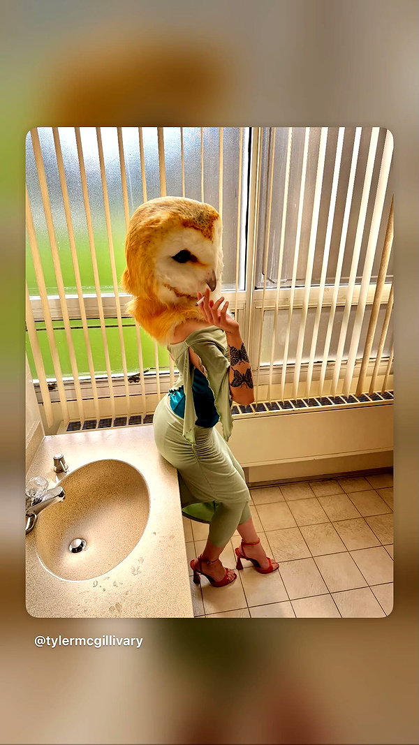 alma.almog instagram image archive image