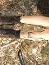 crocodile.notes Altpins Profile Picture