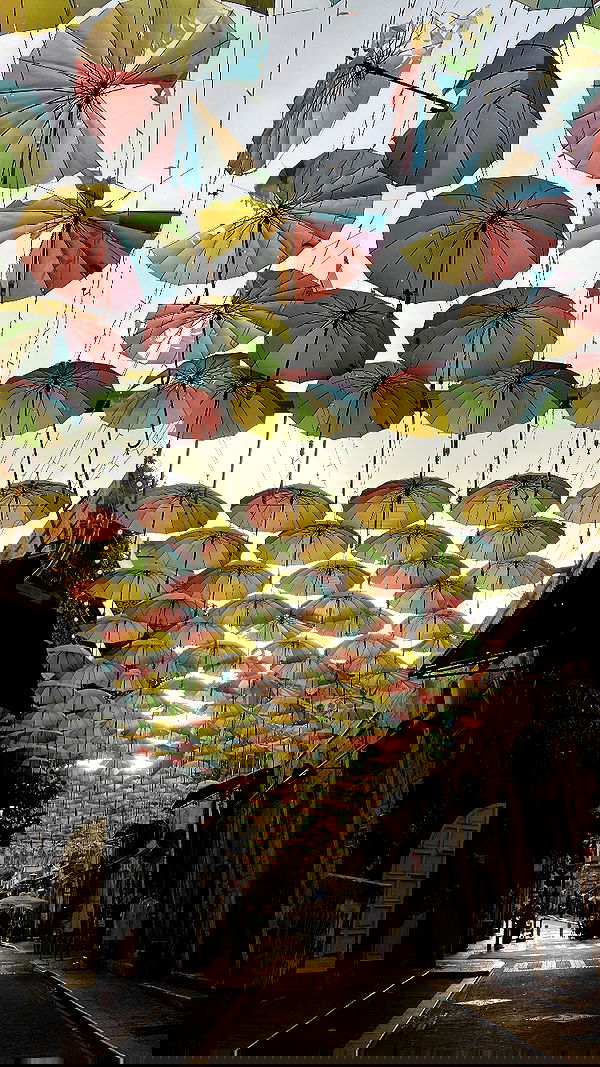 elianachetrit elianachetrit archive image