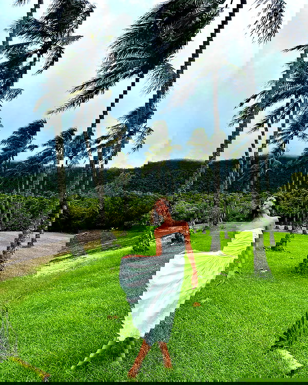 taylor.creeden taylor.creeden archive image