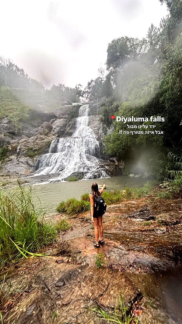 dana_ratushany instagram image archive image