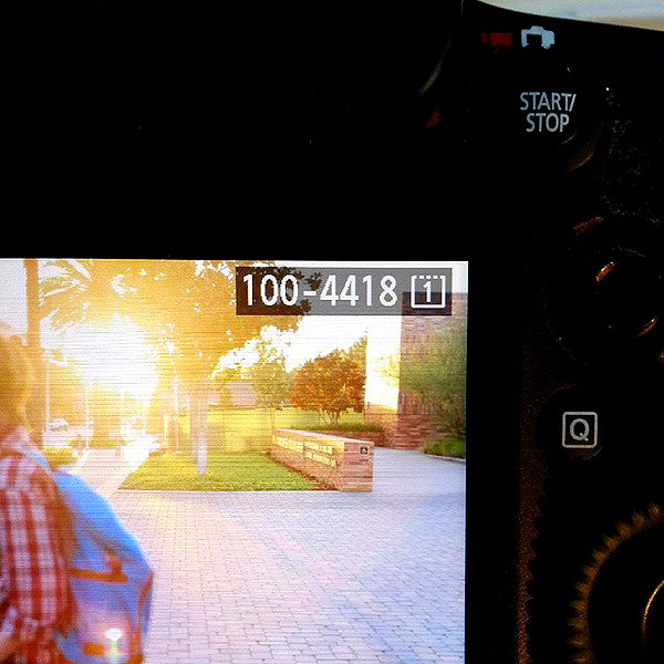 muze instagram image archive image