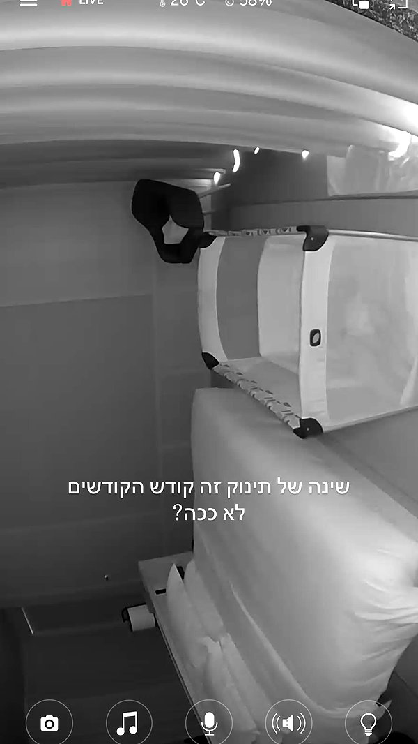 barzomer instagram image archive image