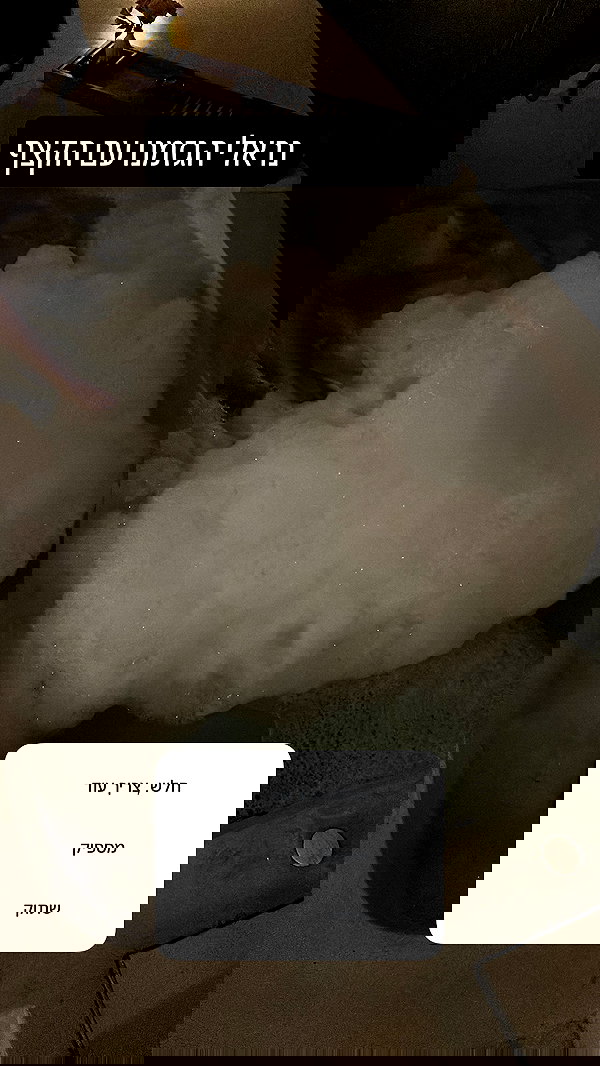 sapir_shemer sapir_shemer archive image