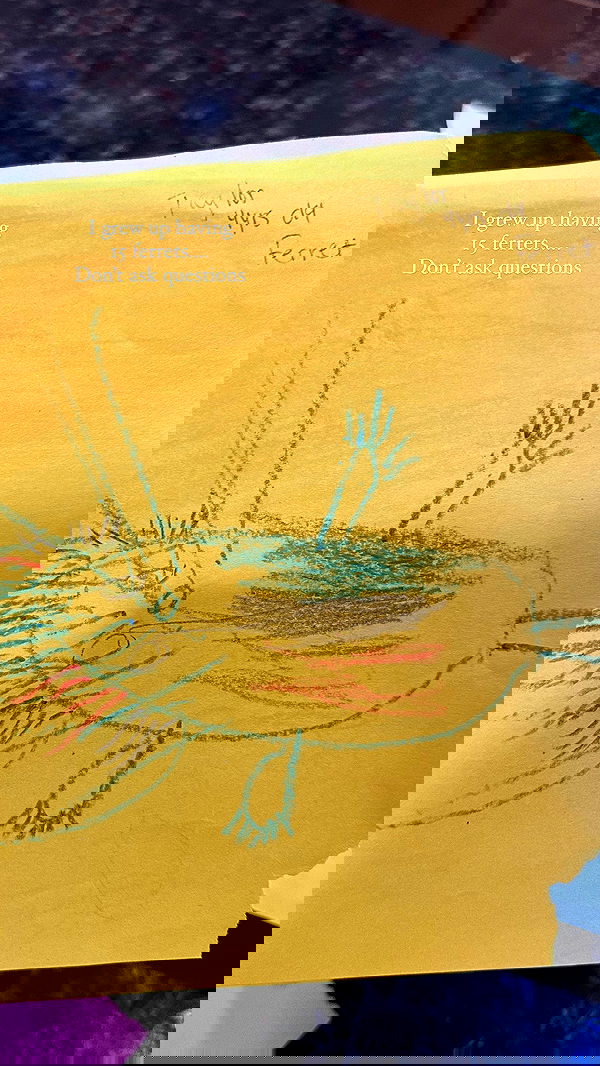 taylor.creeden taylor.creeden archive image