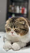 sonia_litvanchuk Altpins Profile Picture