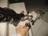 lolontlia Altpins Profile Picture