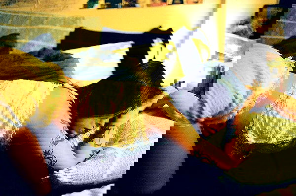 ting851204 ting851204 archive image