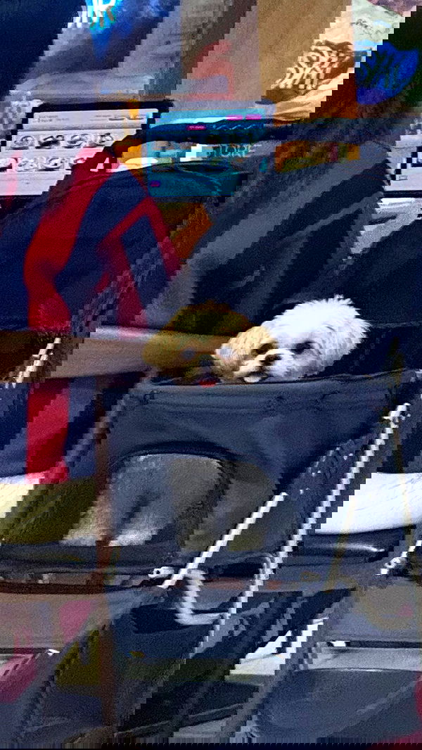 eliya.ho eliya.ho archive image