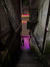 vollkova__ Altpins Profile Picture