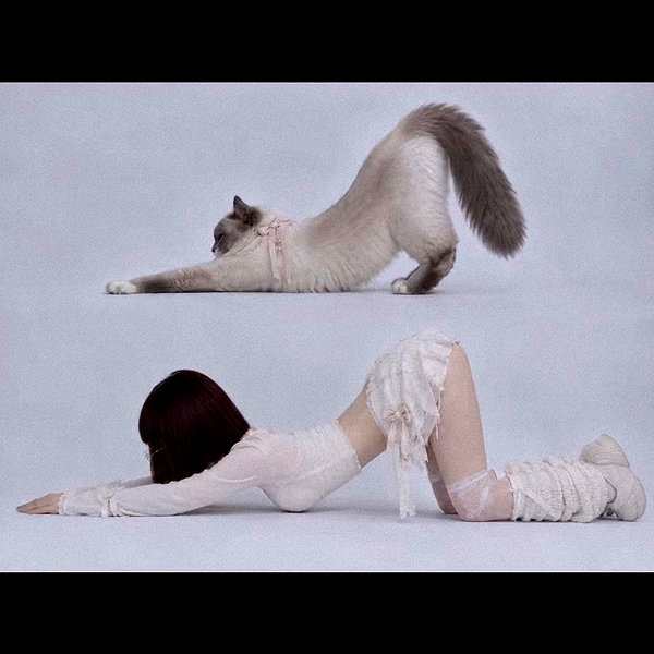 iiren_z instagram image archive image