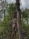 mollieruck Altpins Profile Picture