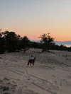gritsa.k Altpins Profile Picture