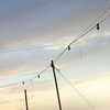 0ch4n Altpins Profile Picture