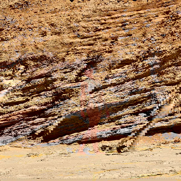 1justsabi 1justsabi archive image