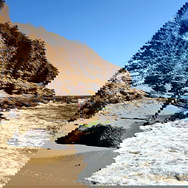 1justsabi 1justsabi archive image