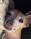 1kyle8_ Altpins Profile Picture