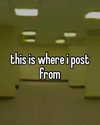 1kyle8_ Altpins Profile Picture