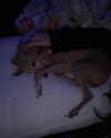 1kyle8_ Altpins Profile Picture