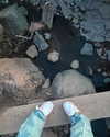 1kyle8_ Altpins Profile Picture