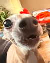 1kyle8_ Altpins Profile Picture