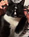 1kyle8_ Altpins Profile Picture