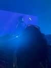1kyle8_ Altpins Profile Picture
