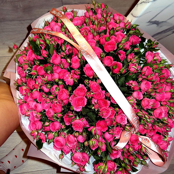 1ssakova instagram image archive image