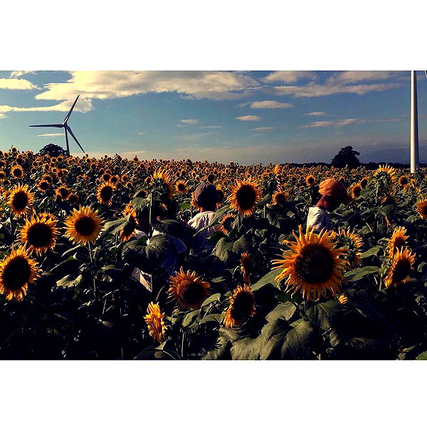 3liyen_ instagram image archive image