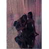 3liyen_ Altpins Profile Picture