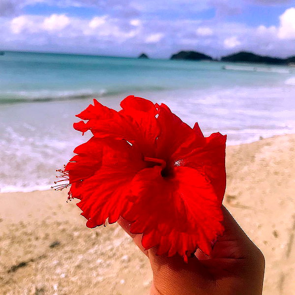 3liyen_ instagram image archive image