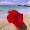 3liyen_ Altpins Profile Picture