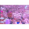 3liyen_ Altpins Profile Picture