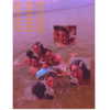 3liyen_ Altpins Profile Picture