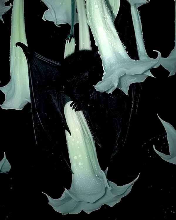 666spicynoodle instagram image archive image